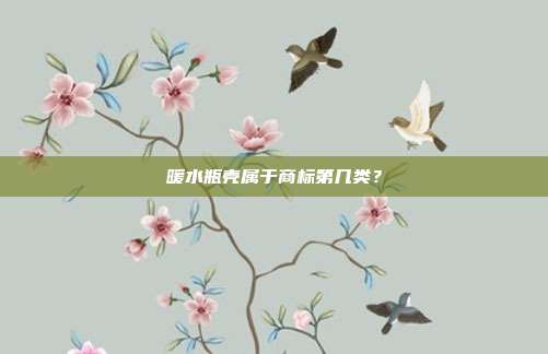 暖水瓶壳属于商标第几类？