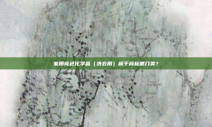 家用亮色化学品（洗衣用）属于商标第几类？