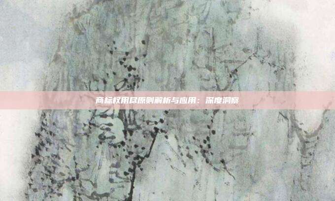 商标权用尽原则解析与应用:深度洞察
