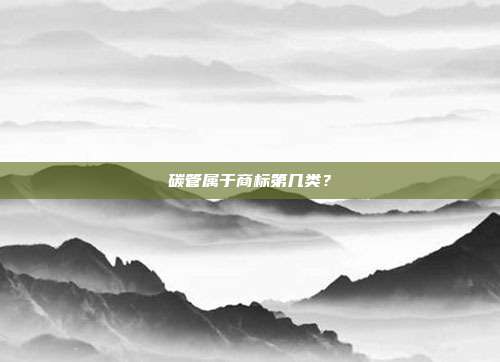 碳管属于商标第几类?
