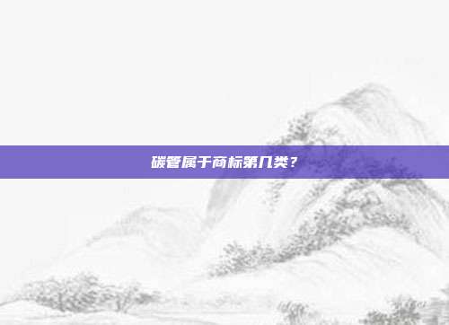 碳管属于商标第几类？