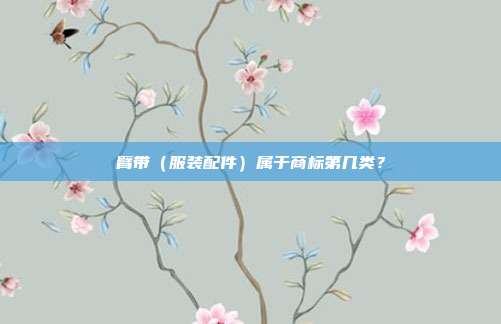 臂带(服装配件)属于商标第几类?