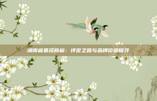 湖南省著名商标:评定之路与品牌价值探寻