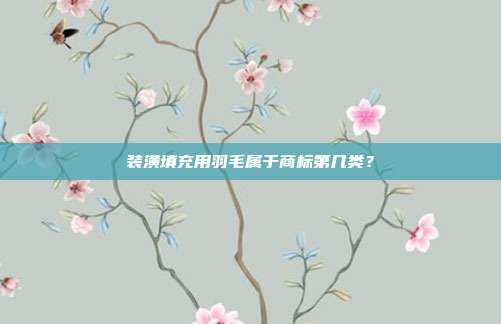 装潢填充用羽毛属于商标第几类?