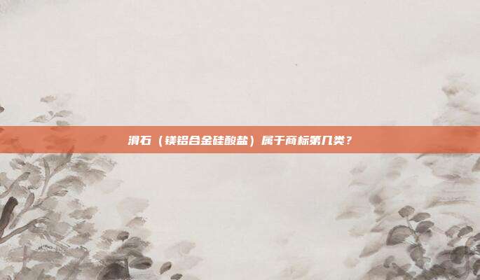 滑石（镁铝合金硅酸盐）属于商标第几类？