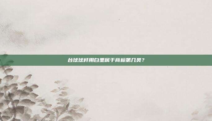 台球球杆用白垩属于商标第几类?
