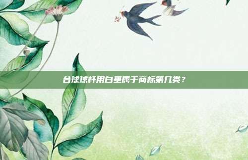 台球球杆用白垩属于商标第几类?