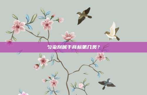 匀染剂属于商标第几类?
