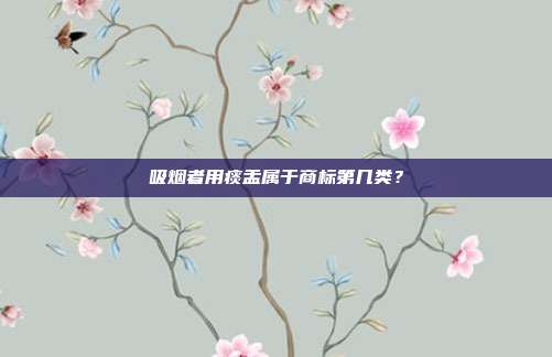 吸烟者用痰盂属于商标第几类?