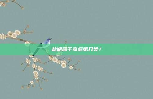盐瓶属于商标第几类?