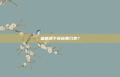 盐瓶属于商标第几类?