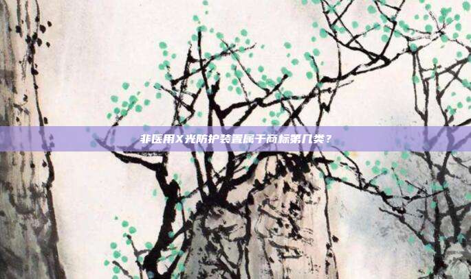 非医用X光防护装置属于商标第几类？