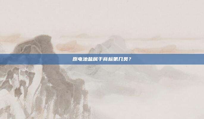 原电池盐属于商标第几类？