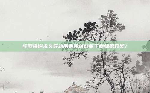 缆索铁道永久导轨用金属材料属于商标第几类?