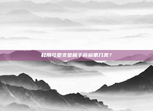 鞋用弓型支垫属于商标第几类?