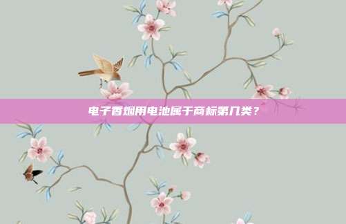 电子香烟用电池属于商标第几类?