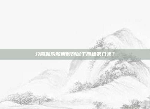 分离和脱胶用制剂属于商标第几类？