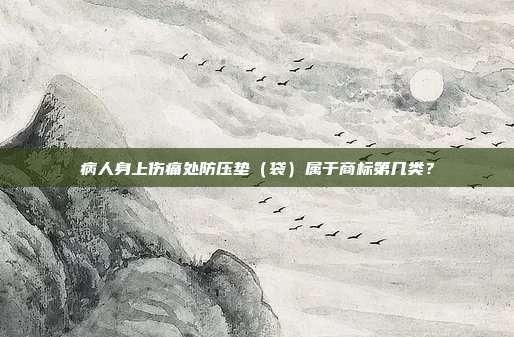 病人身上伤痛处防压垫(袋)属于商标第几类?