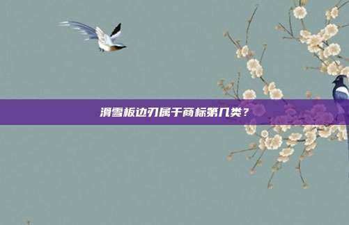滑雪板边刃属于商标第几类？