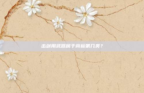 击剑用武器属于商标第几类?