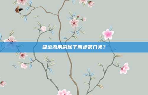 吸尘器用刷属于商标第几类？