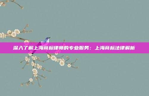 深入了解上海商标律师的专业服务:上海商标法律解析