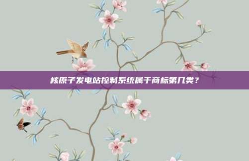 核原子发电站控制系统属于商标第几类?