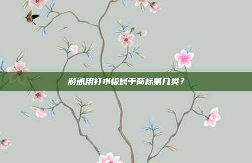 游泳用打水板属于商标第几类?