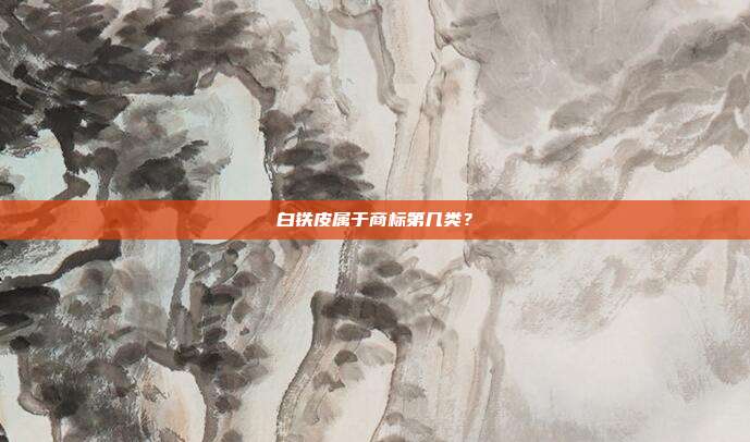 白铁皮属于商标第几类?