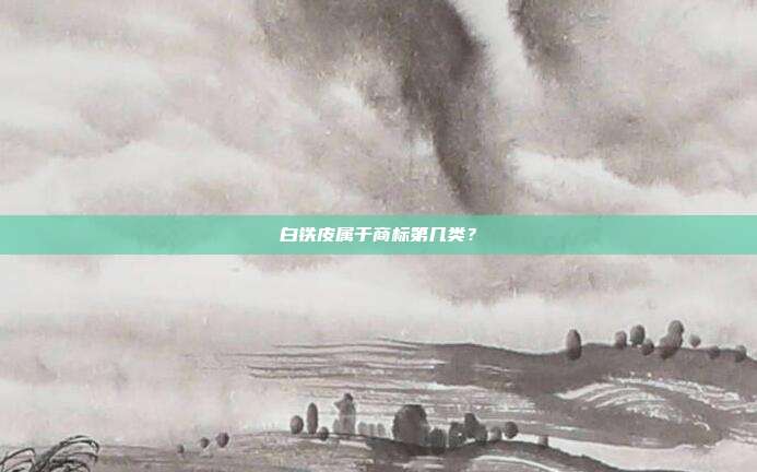 白铁皮属于商标第几类?
