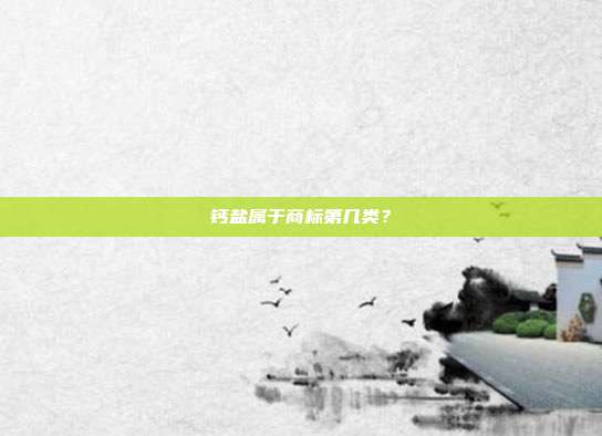 钙盐属于商标第几类?