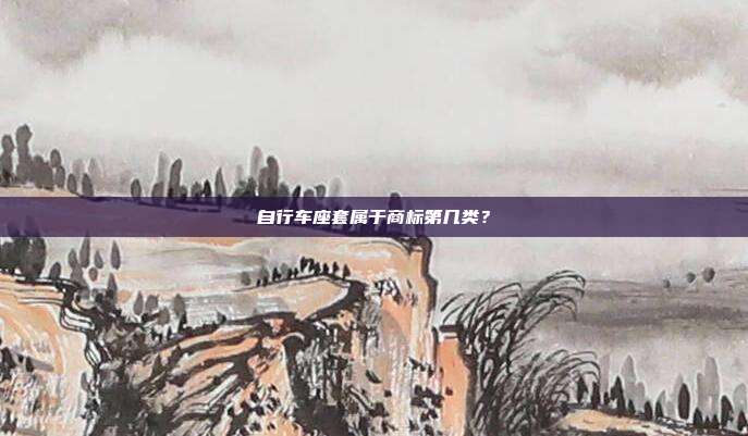 自行车座套属于商标第几类?