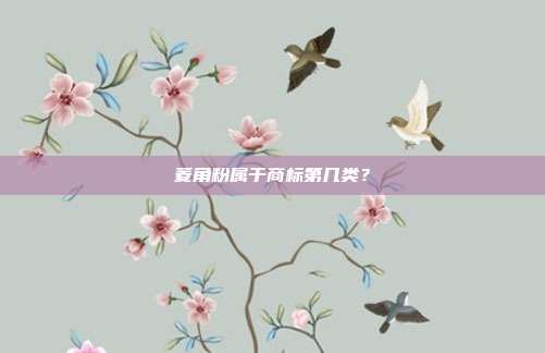 菱角粉属于商标第几类?