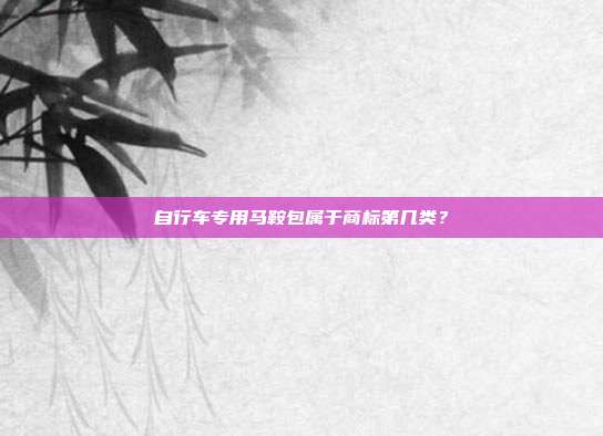 自行车专用马鞍包属于商标第几类？