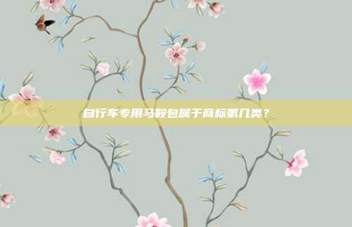 自行车专用马鞍包属于商标第几类？