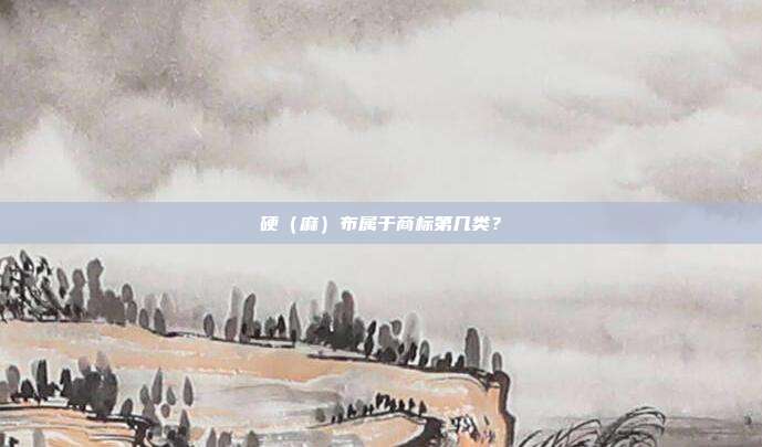 硬（麻）布属于商标第几类？