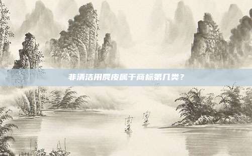 非清洁用麂皮属于商标第几类？