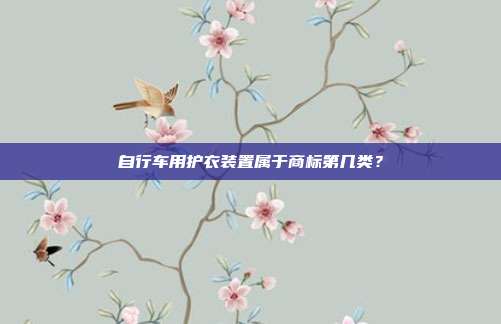 自行车用护衣装置属于商标第几类？