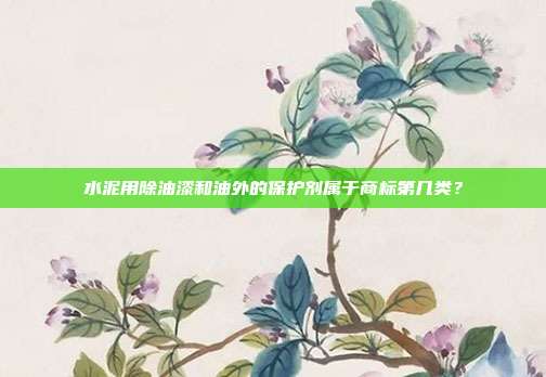 水泥用除油漆和油外的保护剂属于商标第几类？