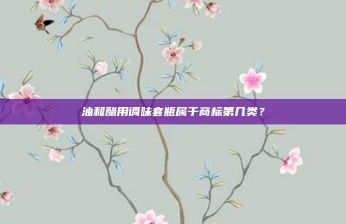 油和醋用调味套瓶属于商标第几类?