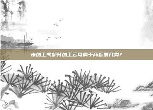 未加工或部分加工云母属于商标第几类?