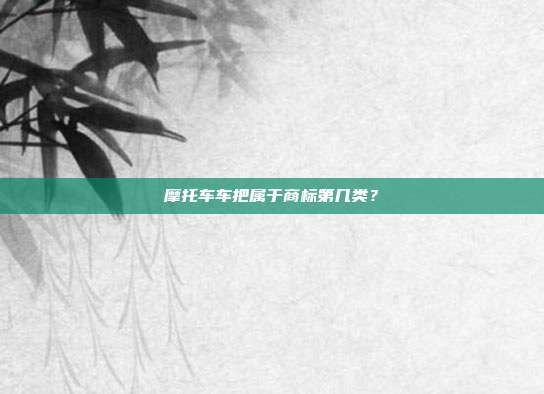 摩托车车把属于商标第几类？