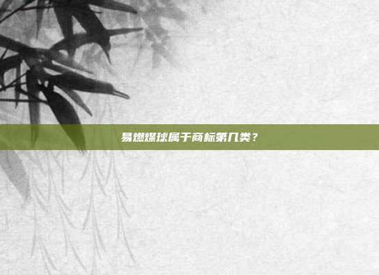 易燃煤球属于商标第几类？