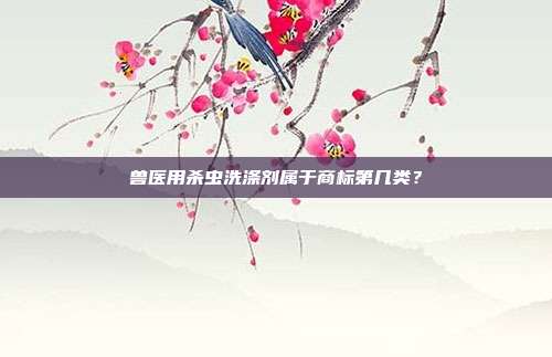 兽医用杀虫洗涤剂属于商标第几类？