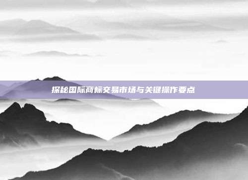 探秘国际商标交易市场与关键操作要点