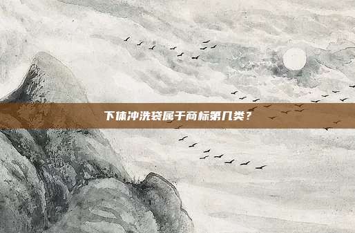 下体冲洗袋属于商标第几类?