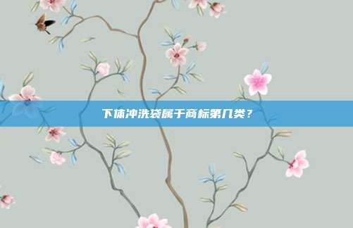 下体冲洗袋属于商标第几类?