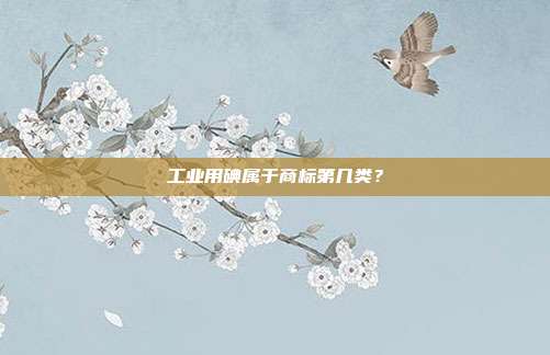 工业用碘属于商标第几类?
