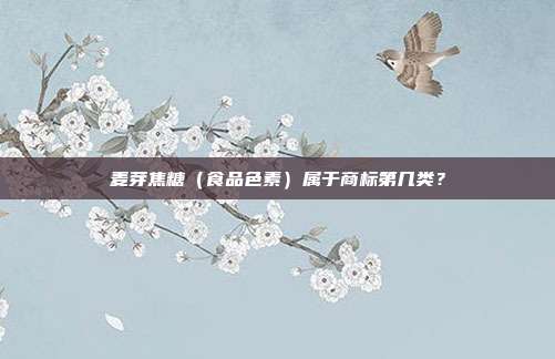 麦芽焦糖(食品色素)属于商标第几类?