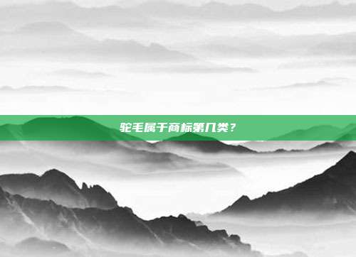 驼毛属于商标第几类？
